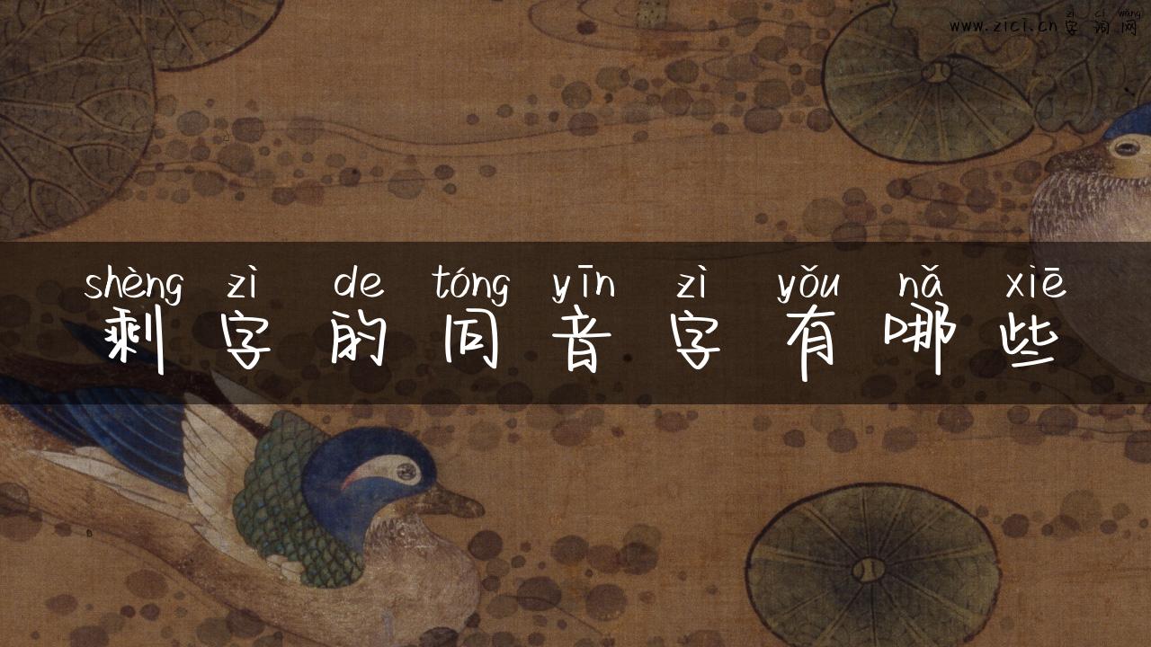 剩字的同音字有哪些