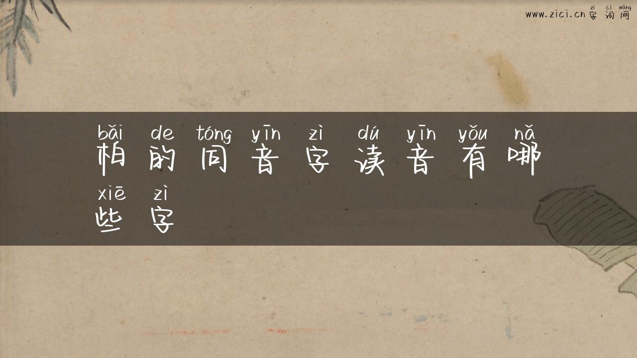 柏的同音字读音有哪些字