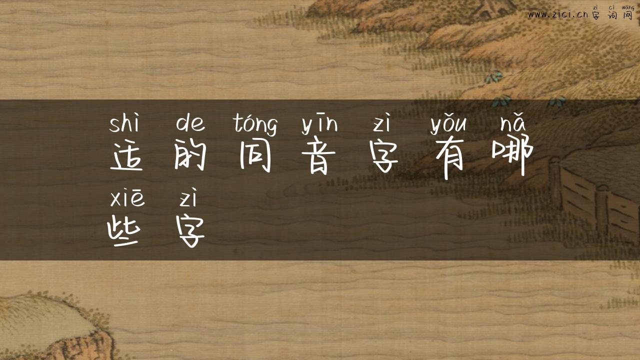 适的同音字有哪些字
