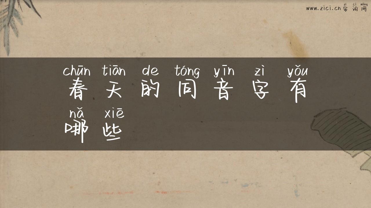 春天的同音字有哪些