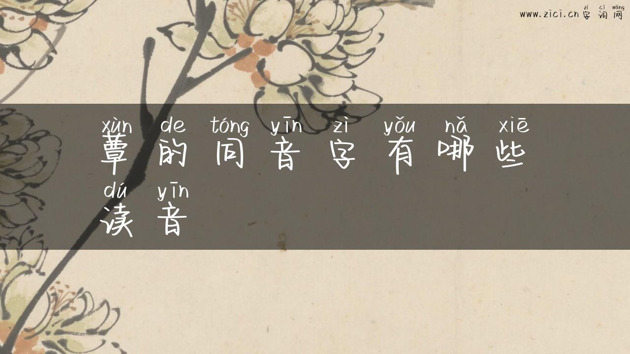 蕈的同音字有哪些读音