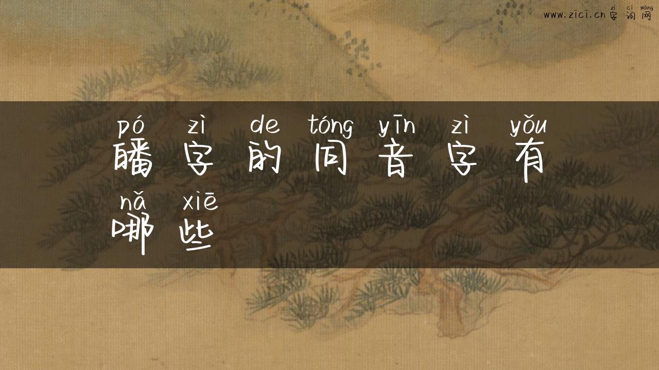 皤字的同音字有哪些