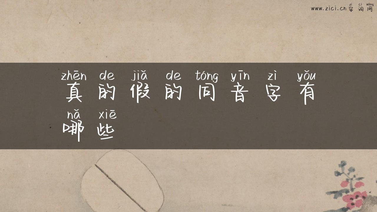 真的假的同音字有哪些