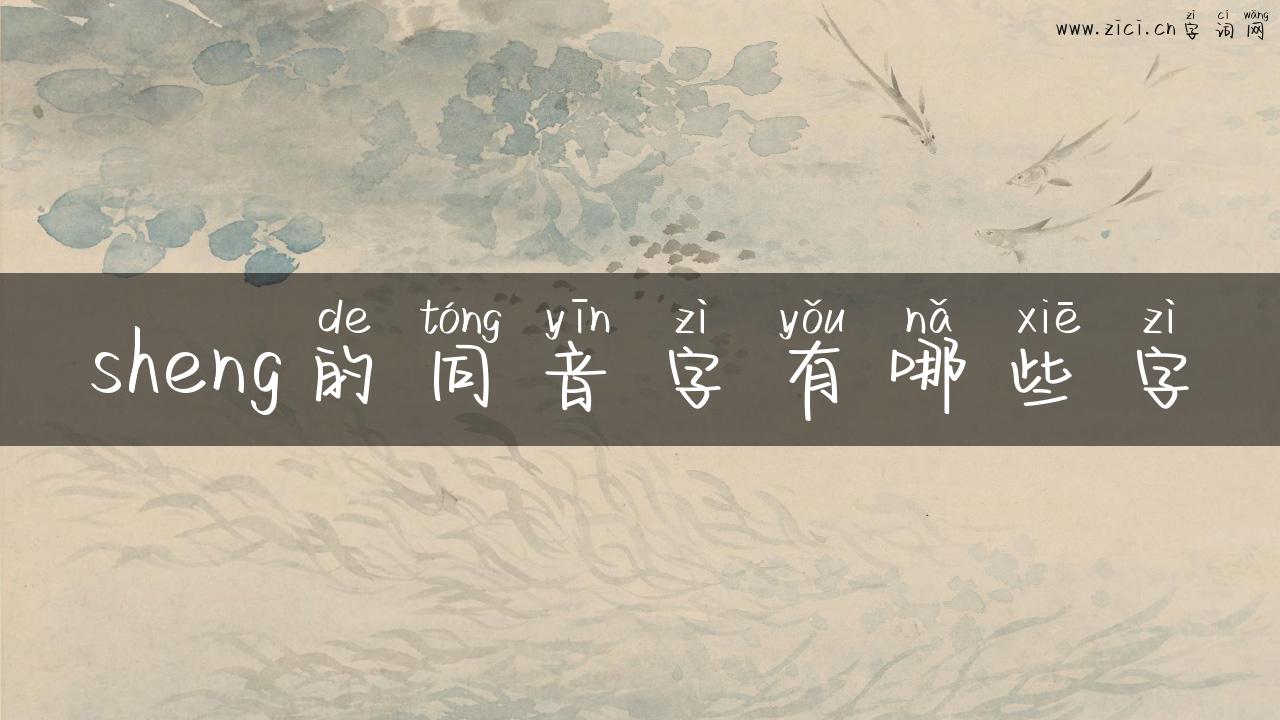sheng的同音字有哪些字