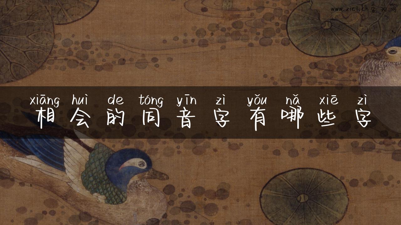相会的同音字有哪些字