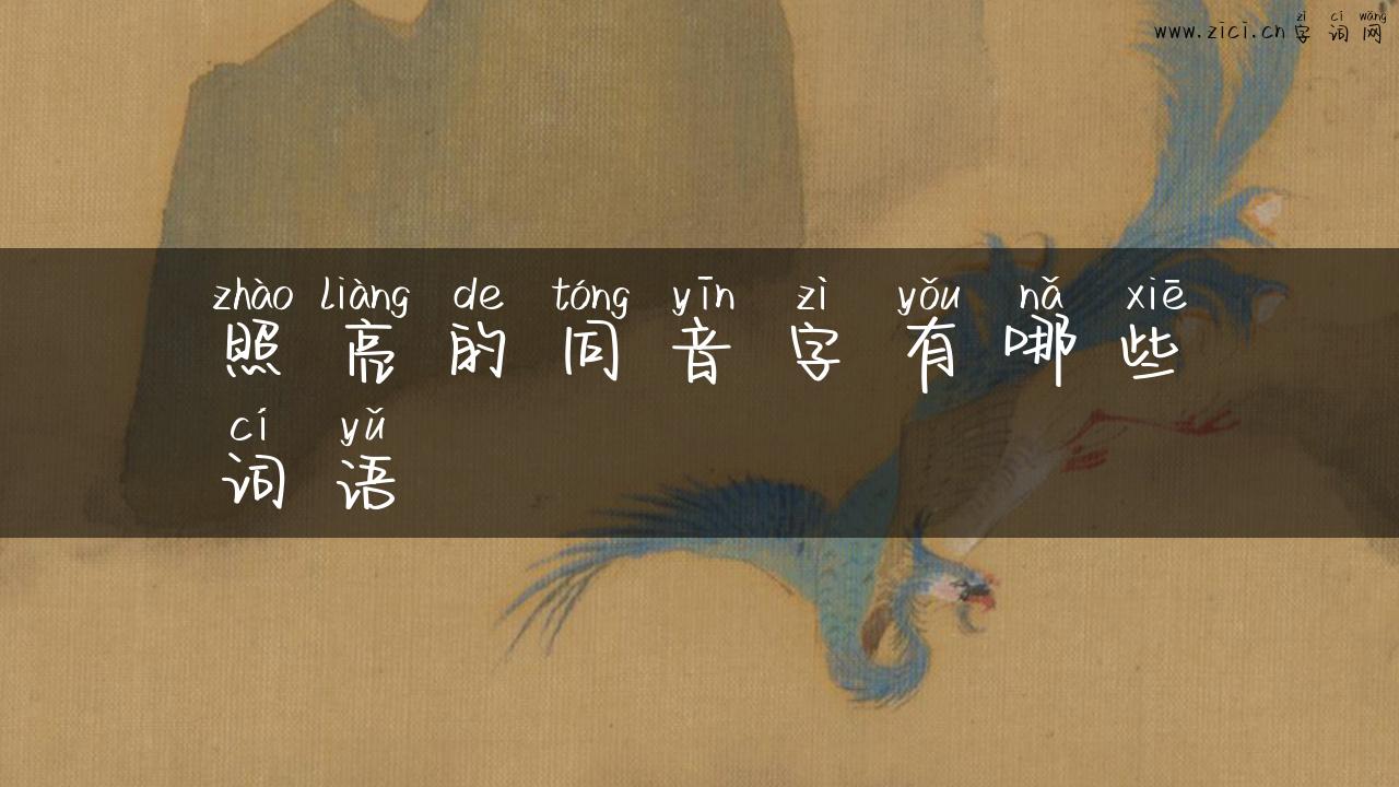 照亮的同音字有哪些词语