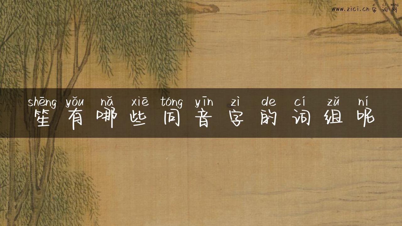 笙有哪些同音字的词组呢