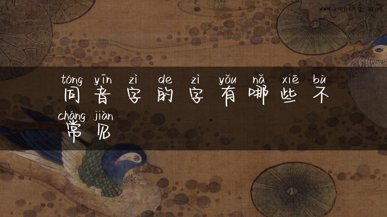 同音字的字有哪些不常见
