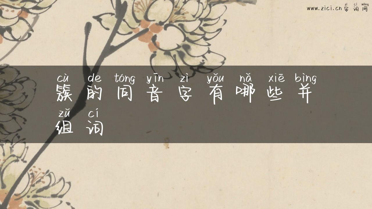 簇的同音字有哪些并组词