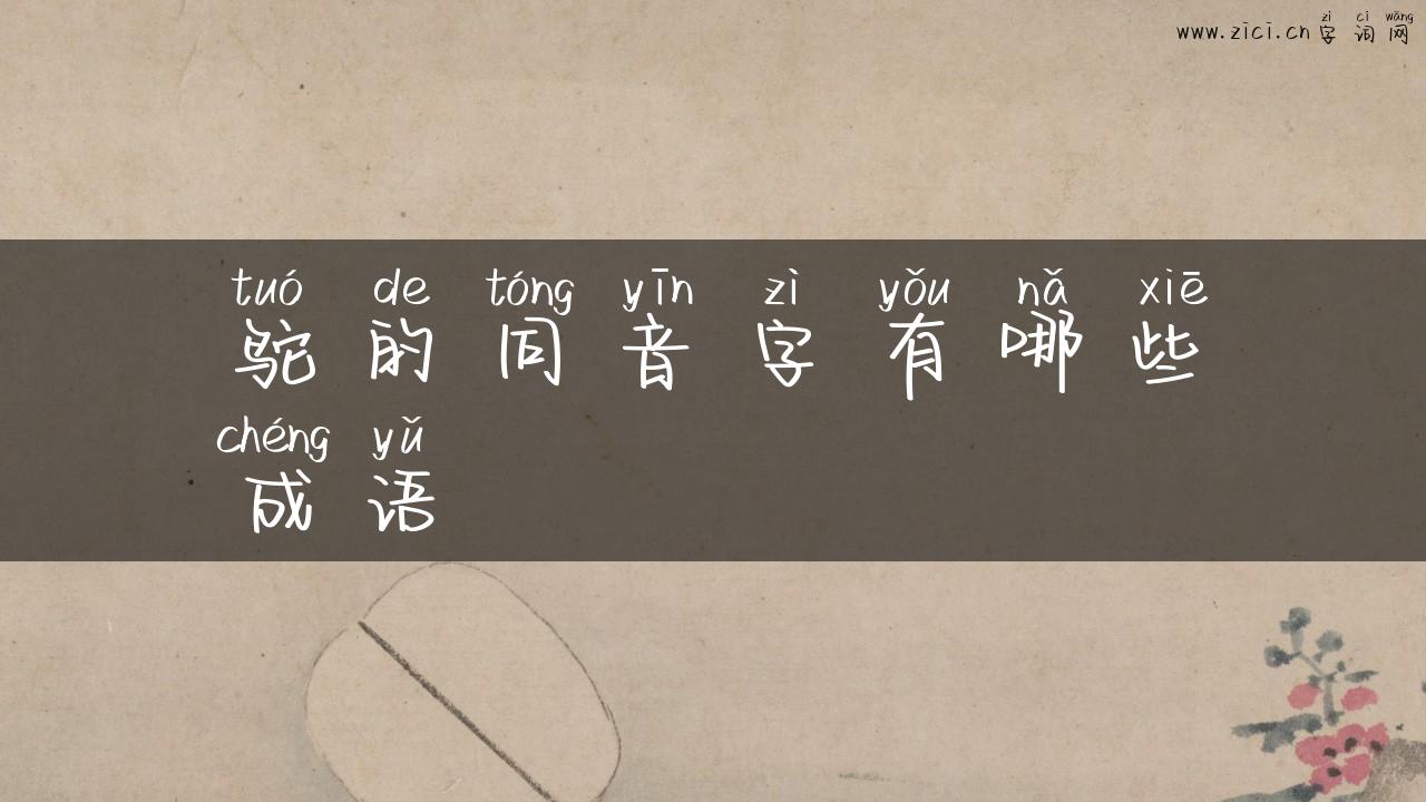 鸵的同音字有哪些成语