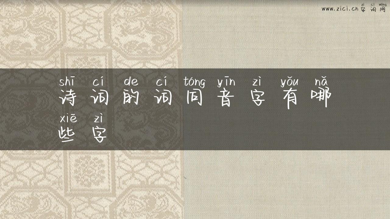 诗词的词同音字有哪些字
