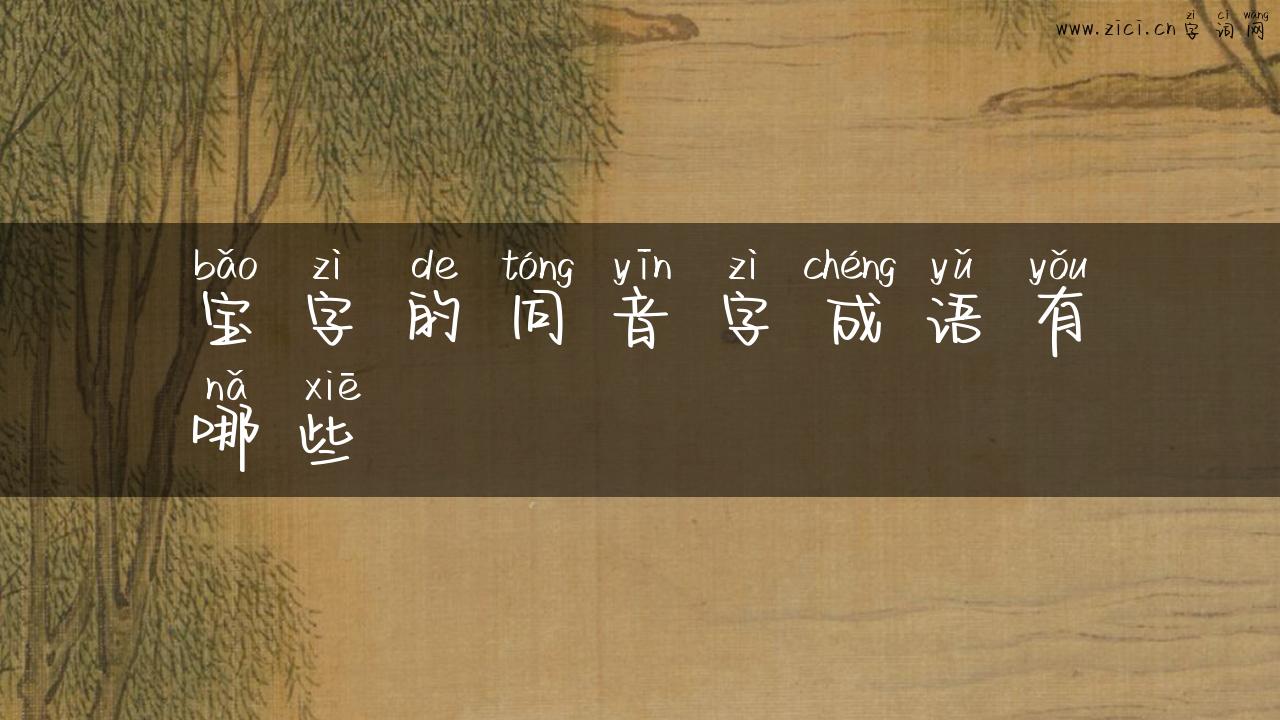 宝字的同音字成语有哪些