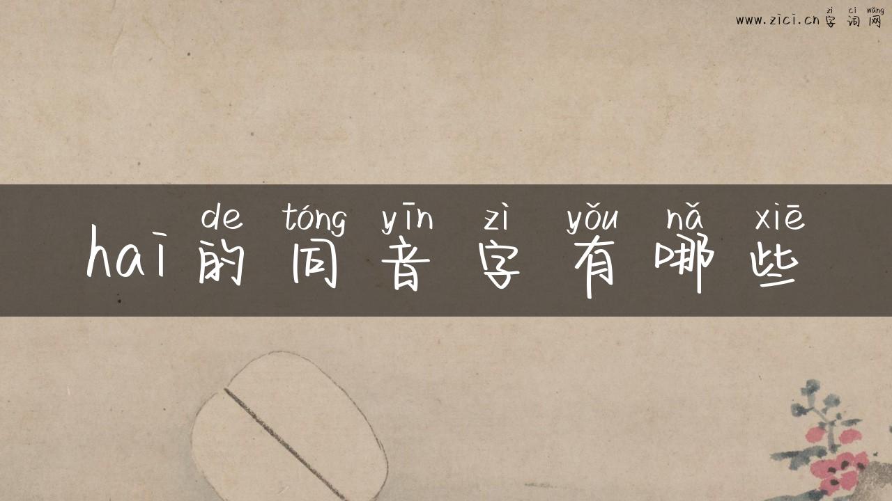 hai的同音字有哪些