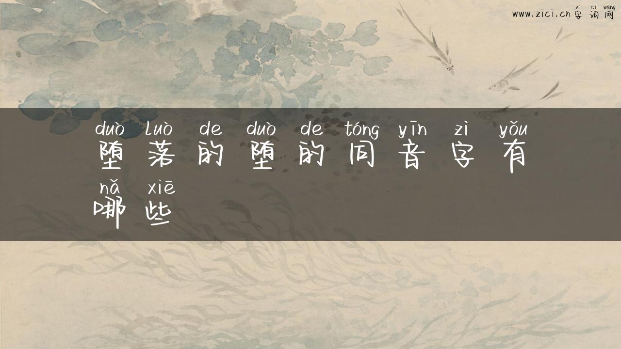 堕落的堕的同音字有哪些