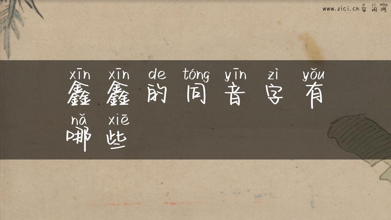鑫鑫的同音字有哪些