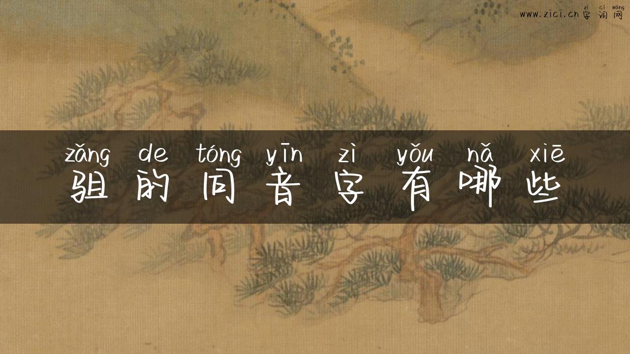驵的同音字有哪些