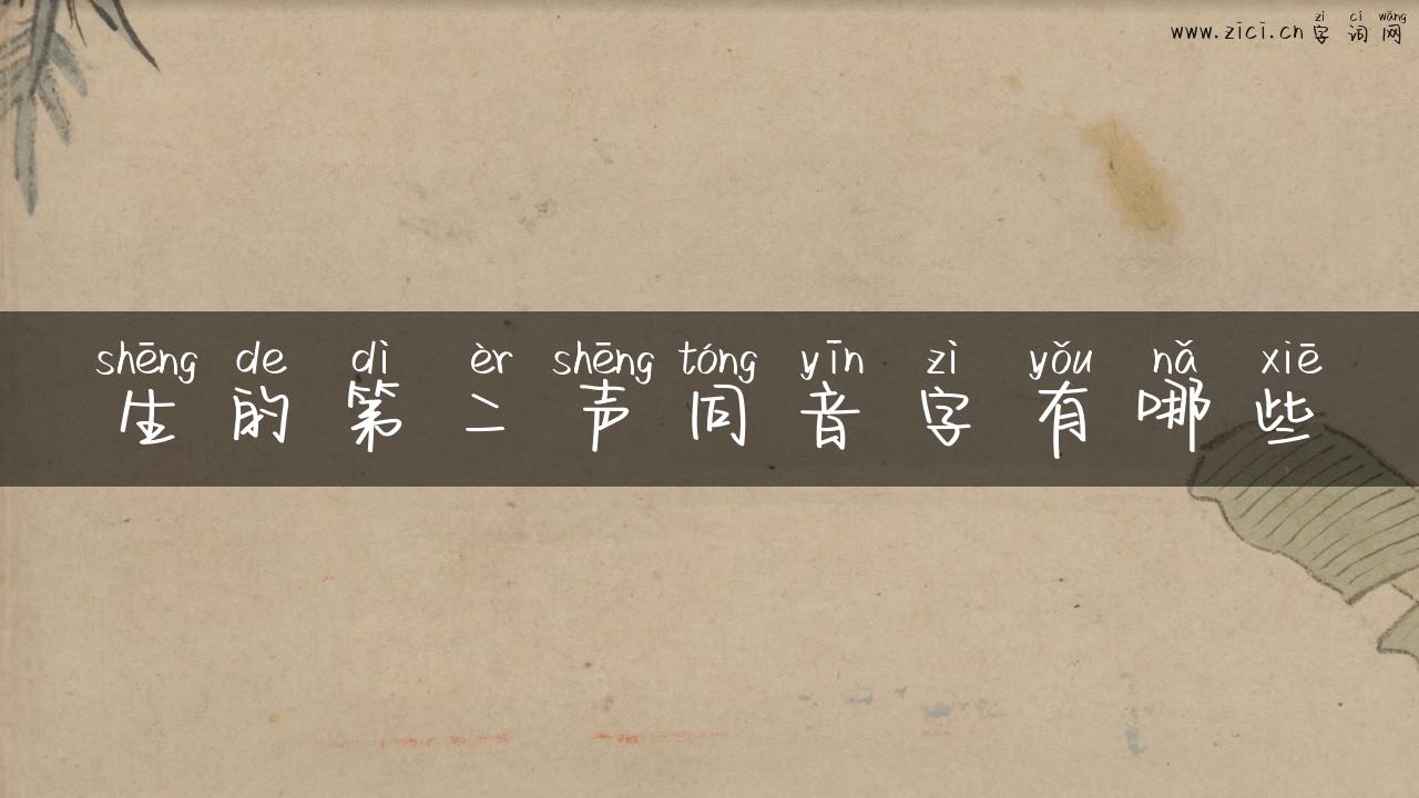 生的第二声同音字有哪些