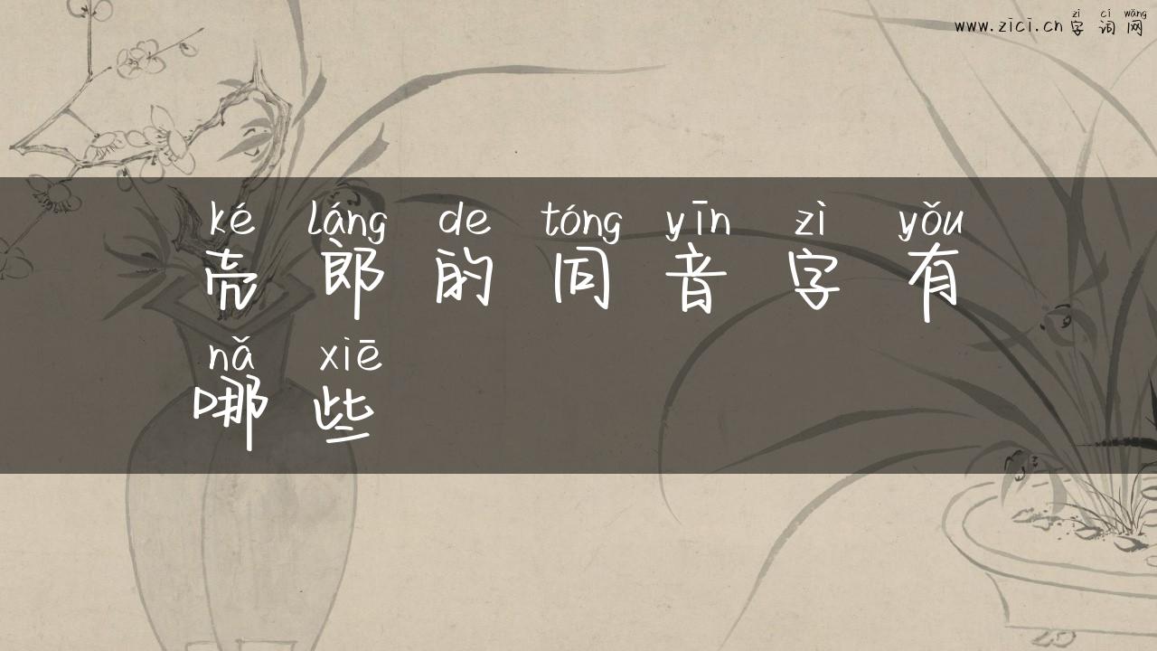 壳郎的同音字有哪些