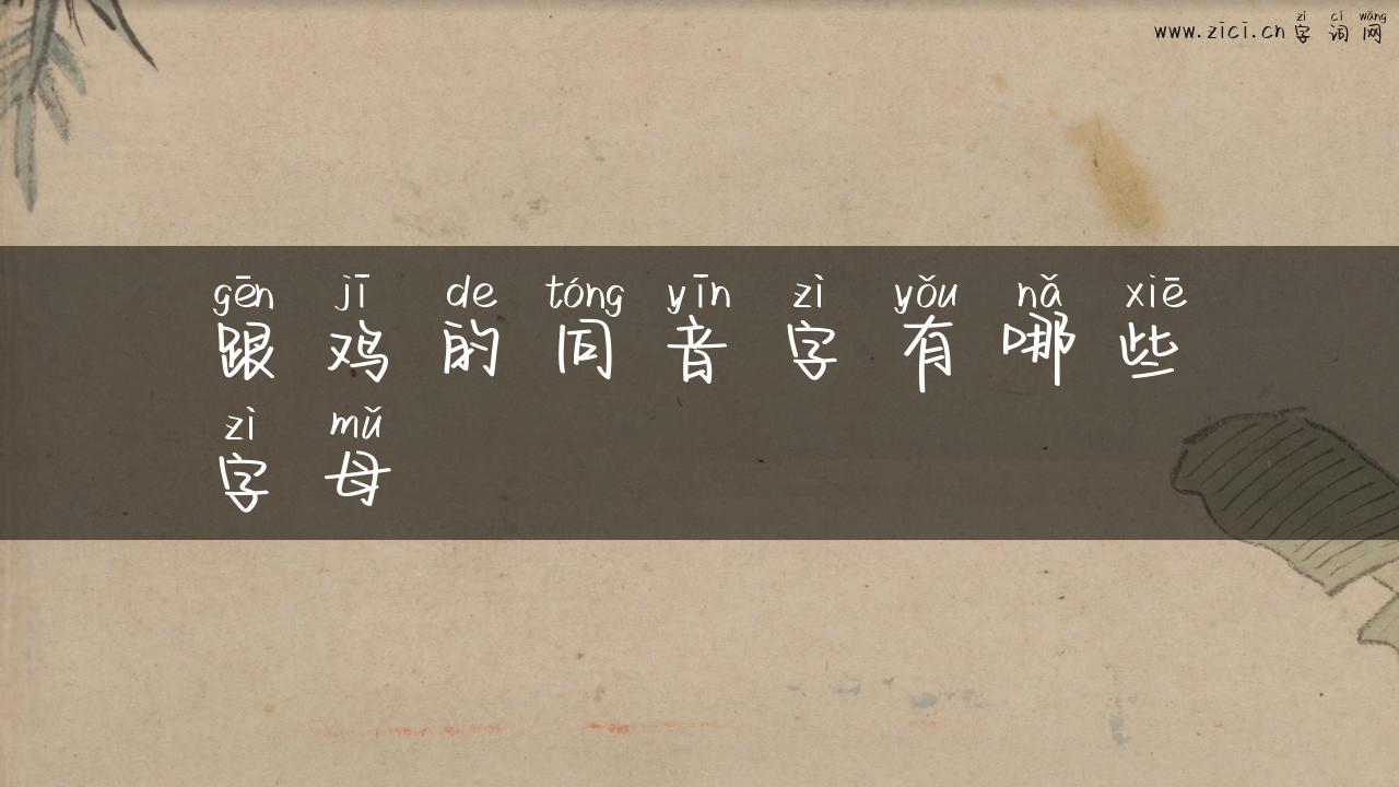 跟鸡的同音字有哪些字母