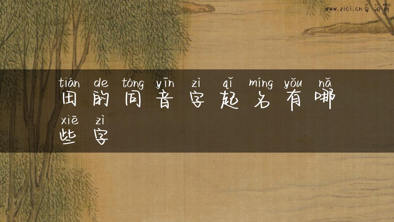 田的同音字起名有哪些字