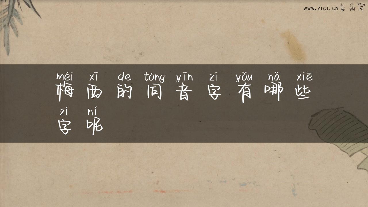 梅西的同音字有哪些字呢