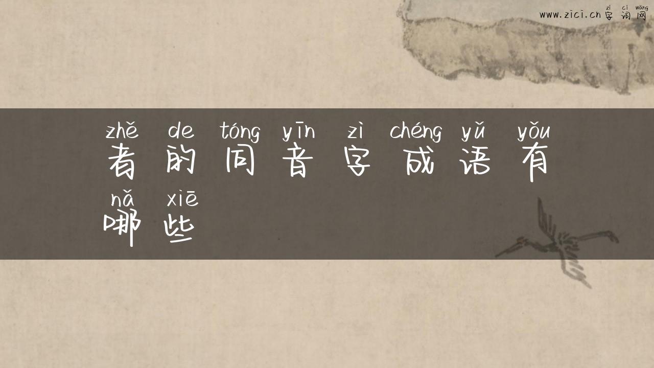 者的同音字成语有哪些