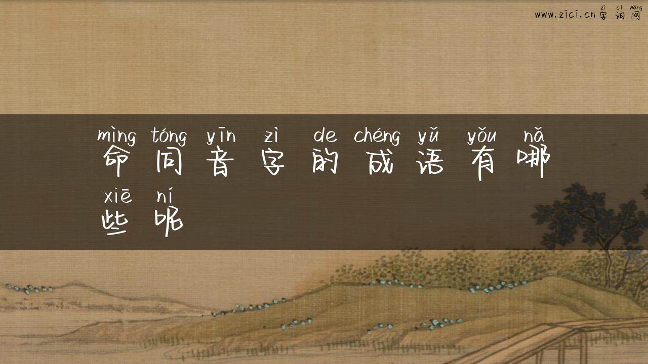 命同音字的成语有哪些呢