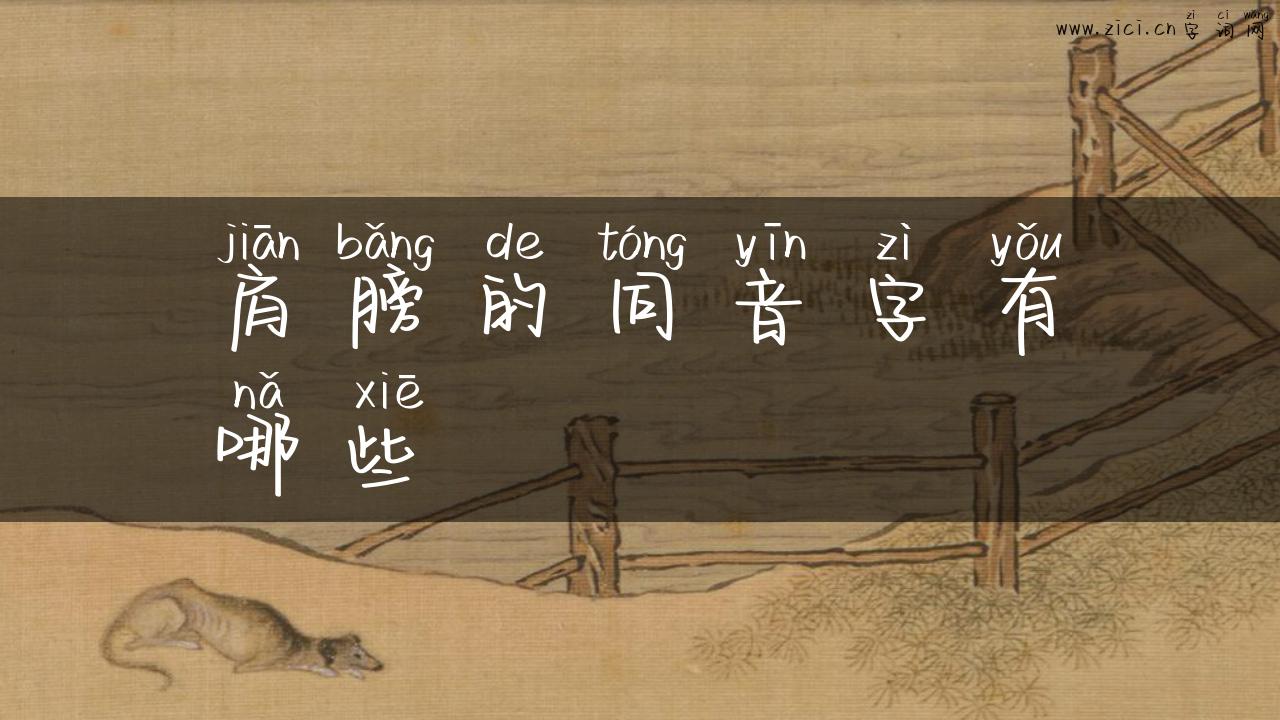 肩膀的同音字有哪些