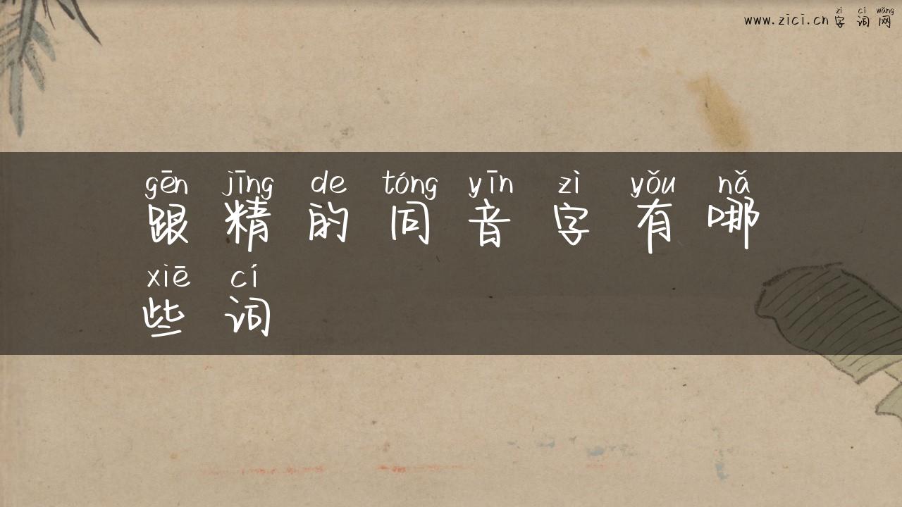 跟精的同音字有哪些词