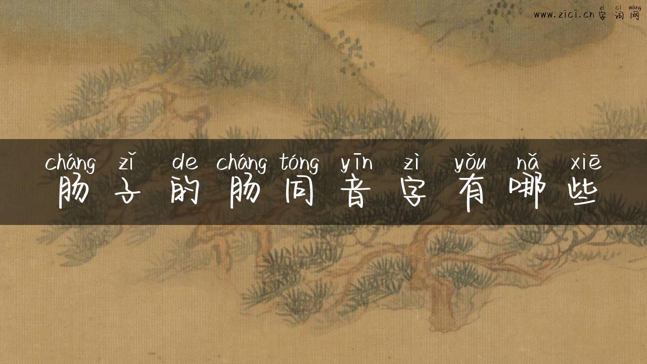 肠子的肠同音字有哪些