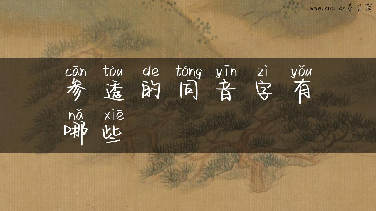 参透的同音字有哪些