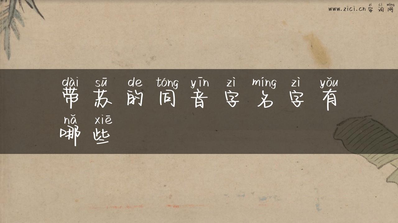 带苏的同音字名字有哪些