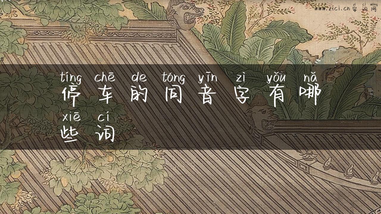 停车的同音字有哪些词