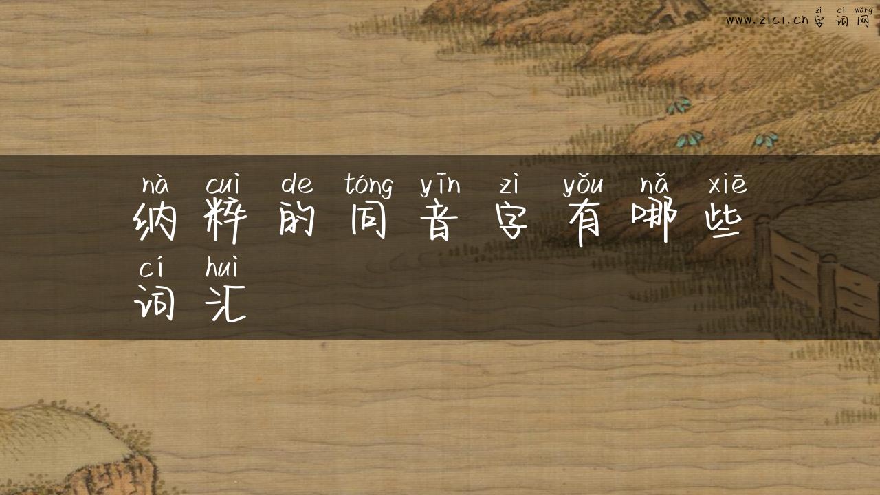 纳粹的同音字有哪些词汇