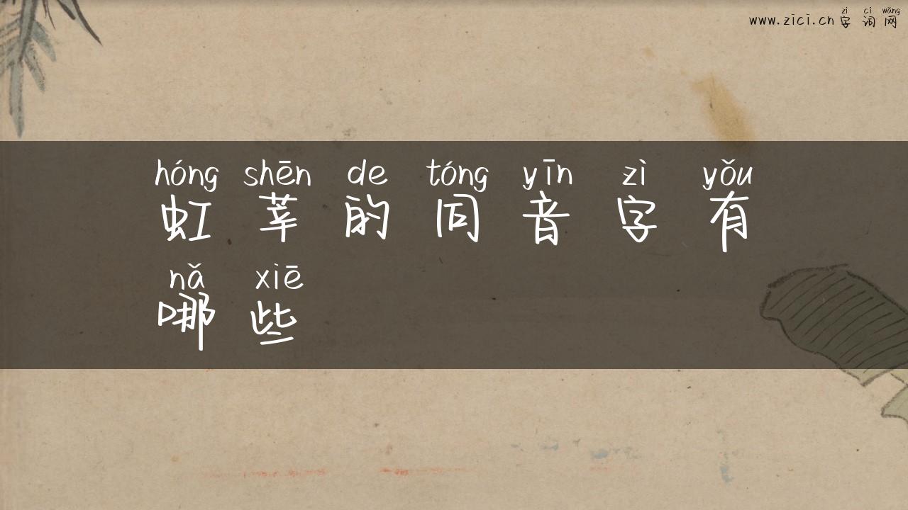 虹莘的同音字有哪些