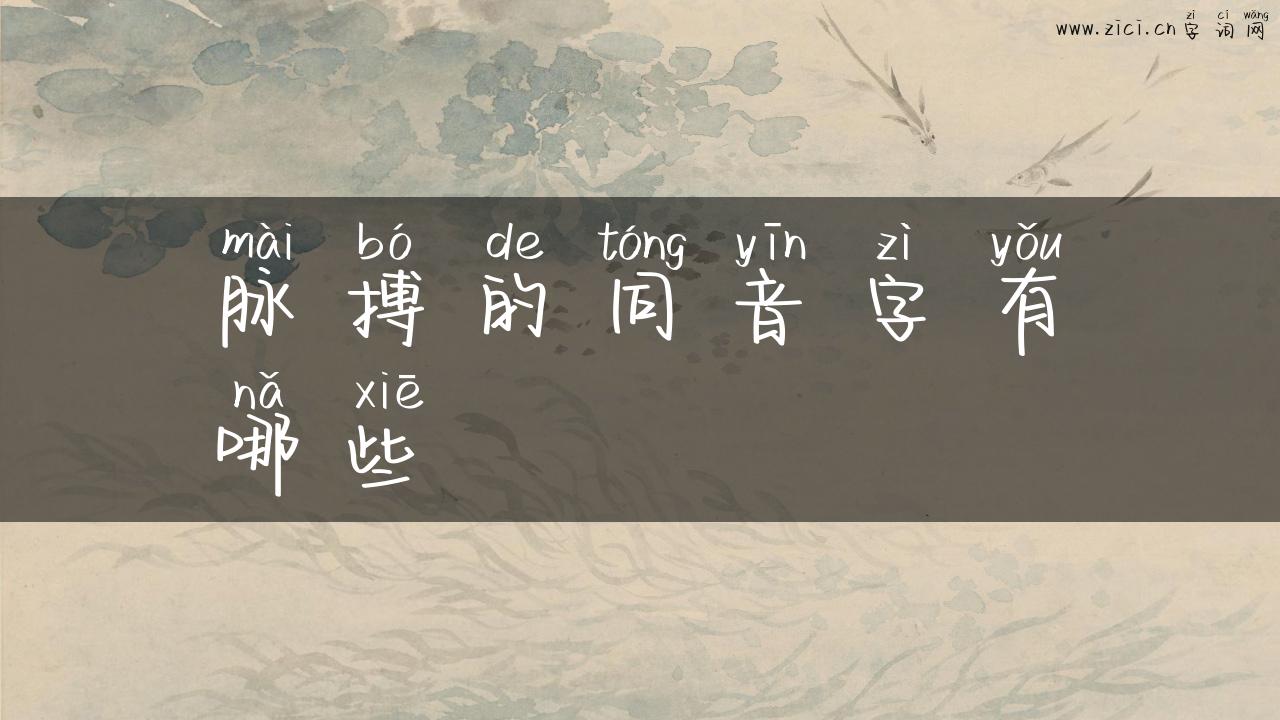 脉搏的同音字有哪些