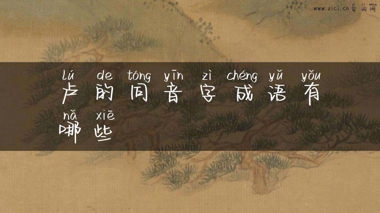 卢的同音字成语有哪些