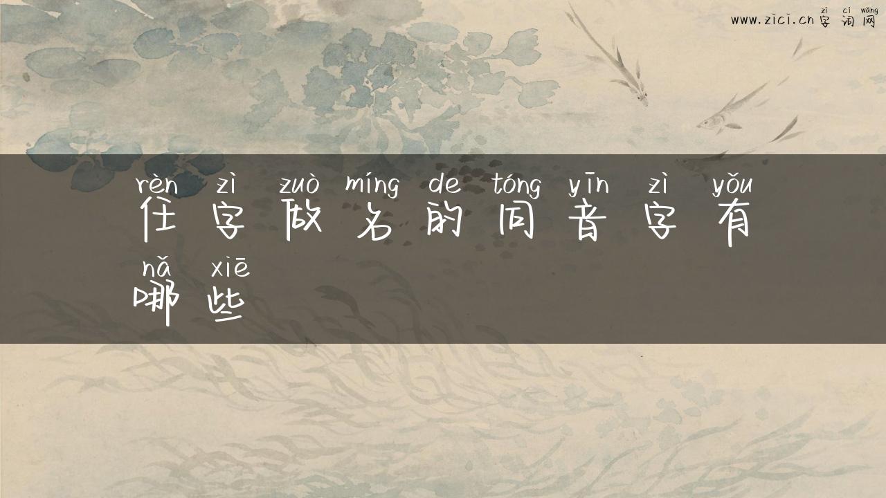 任字做名的同音字有哪些