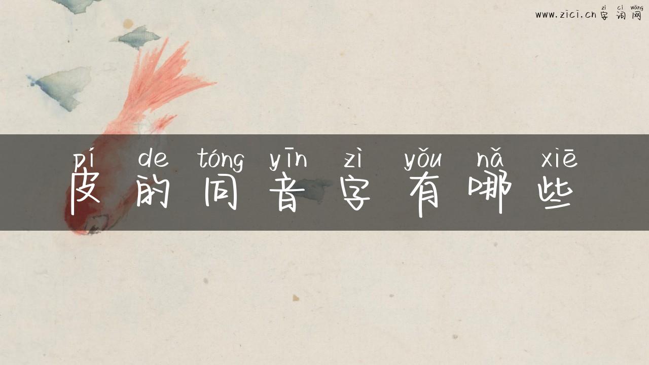 皮的同音字有哪些