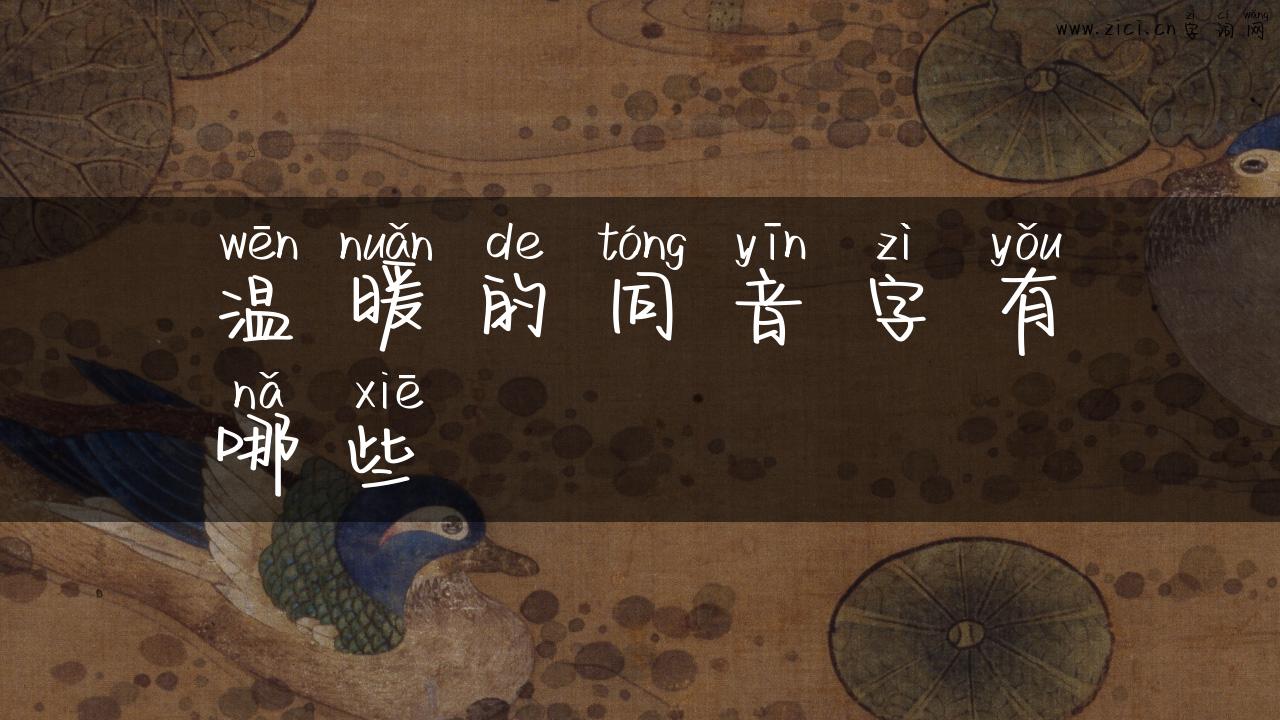 温暖的同音字有哪些