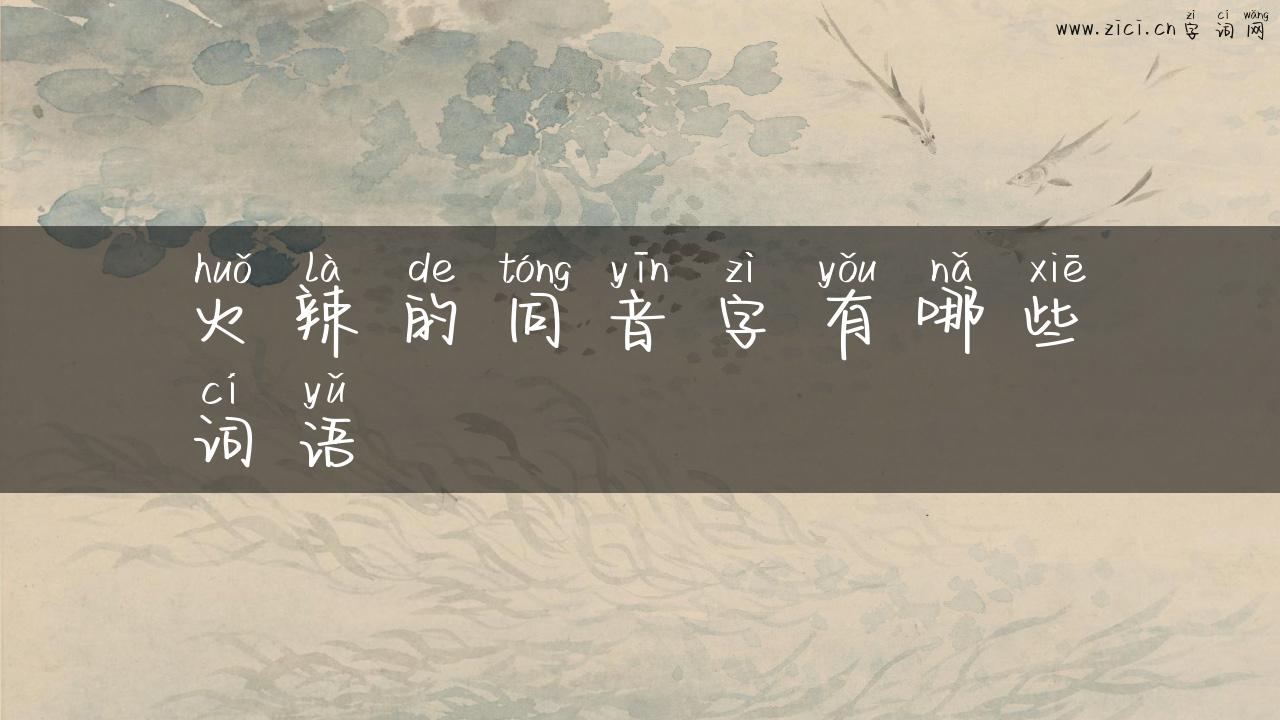 火辣的同音字有哪些词语