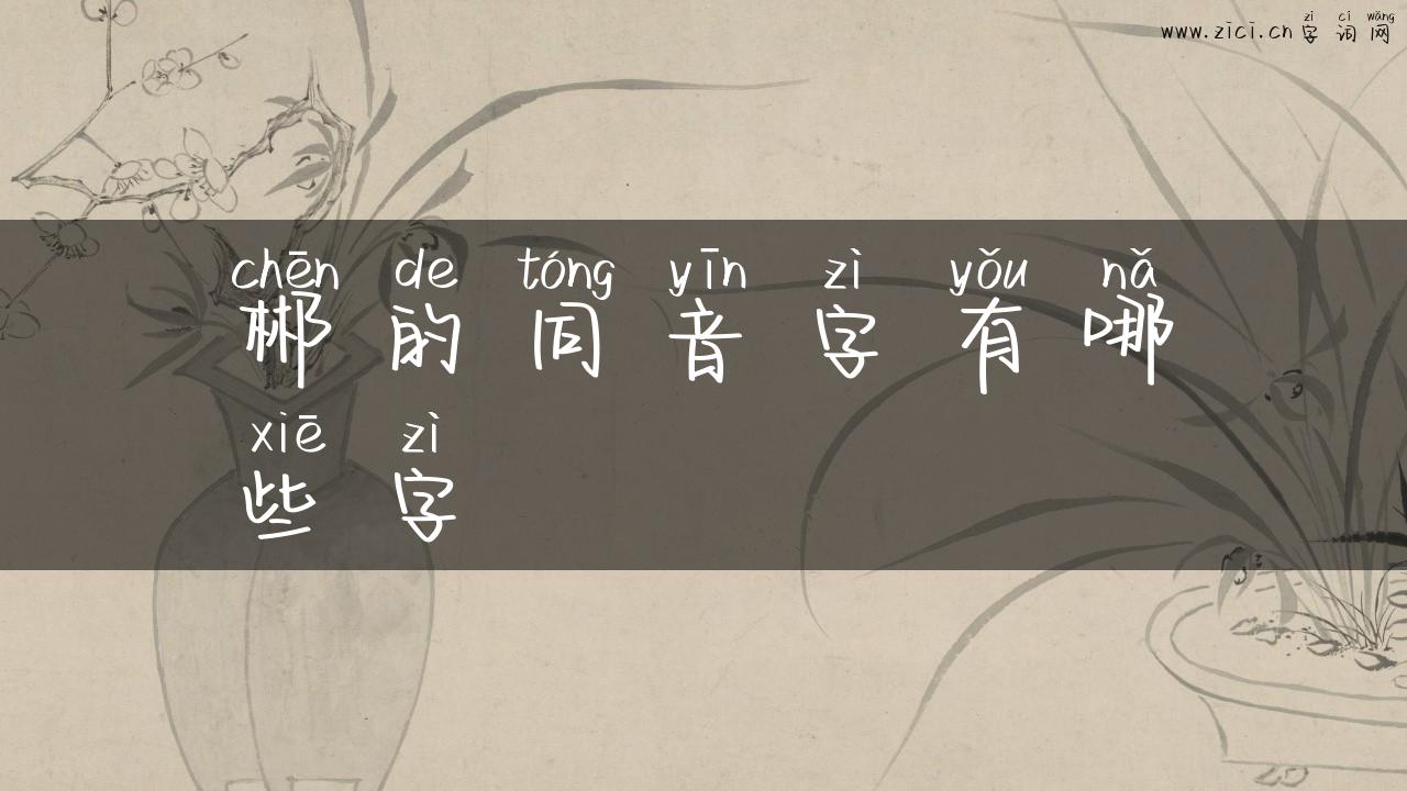 郴的同音字有哪些字