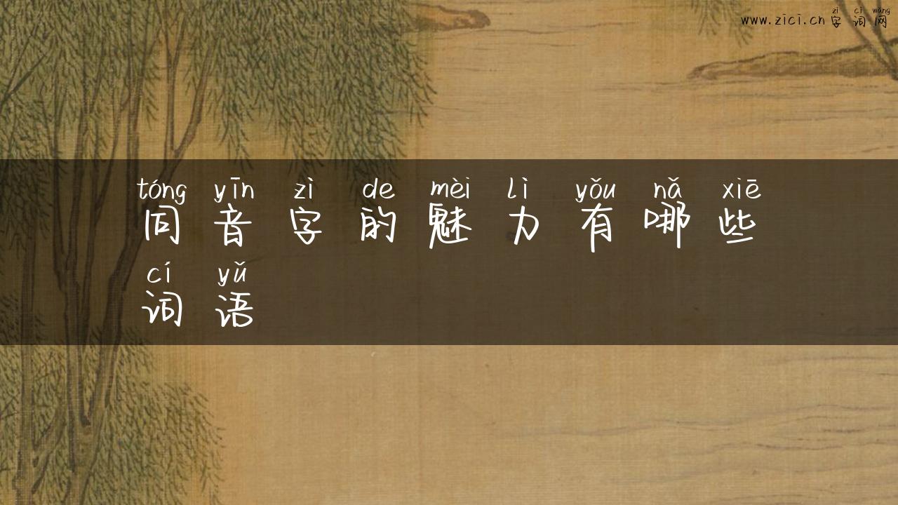 同音字的魅力有哪些词语