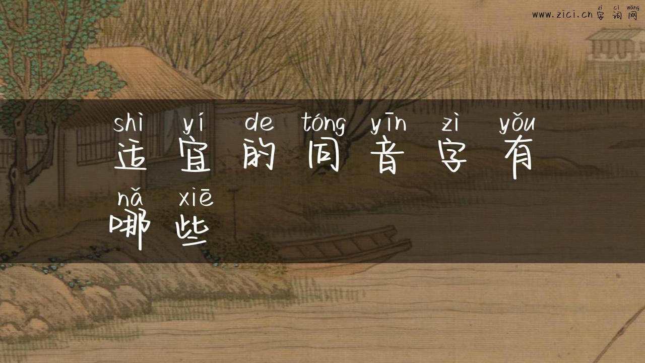 适宜的同音字有哪些
