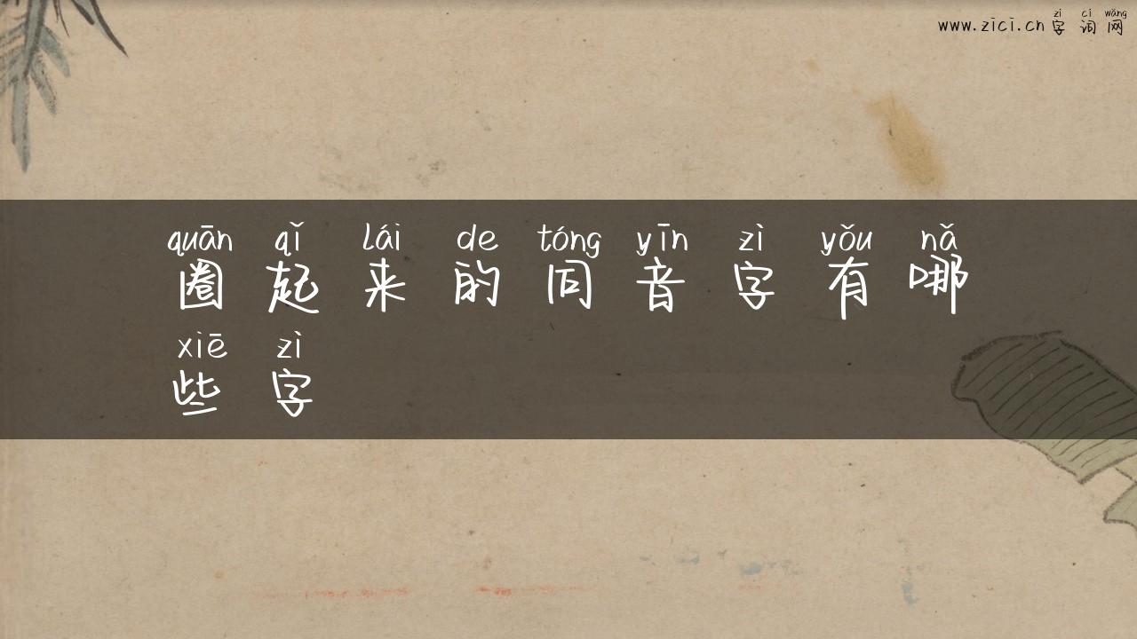 圈起来的同音字有哪些字