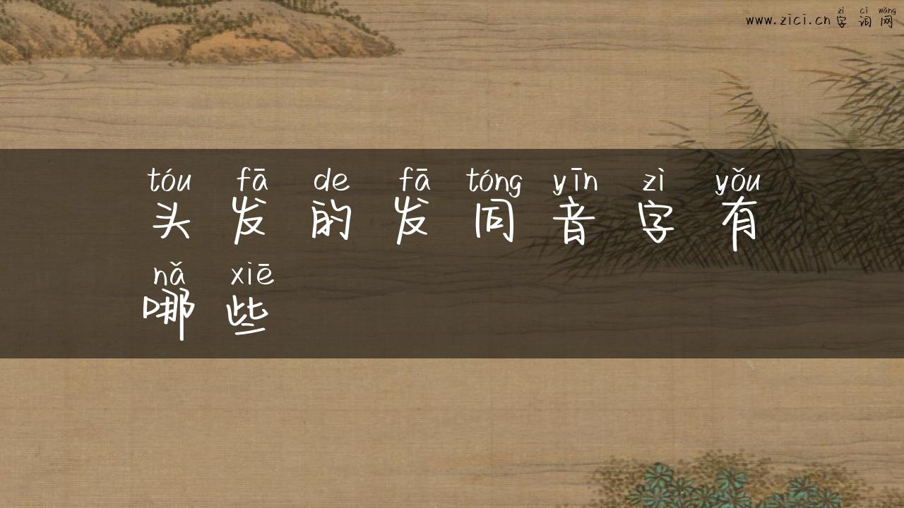 头发的发同音字有哪些