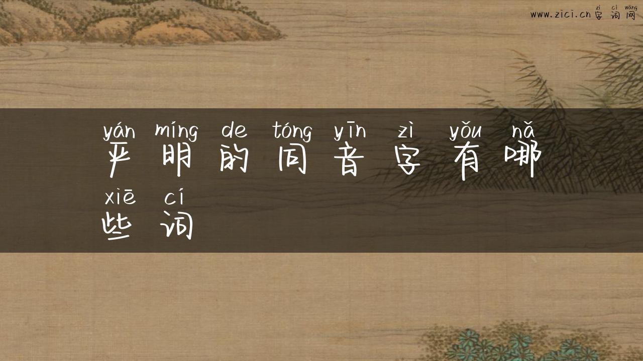 严明的同音字有哪些词