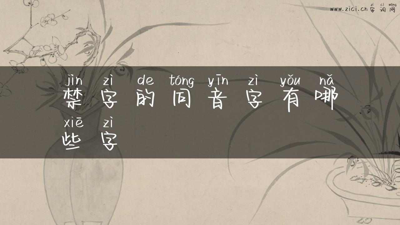 禁字的同音字有哪些字