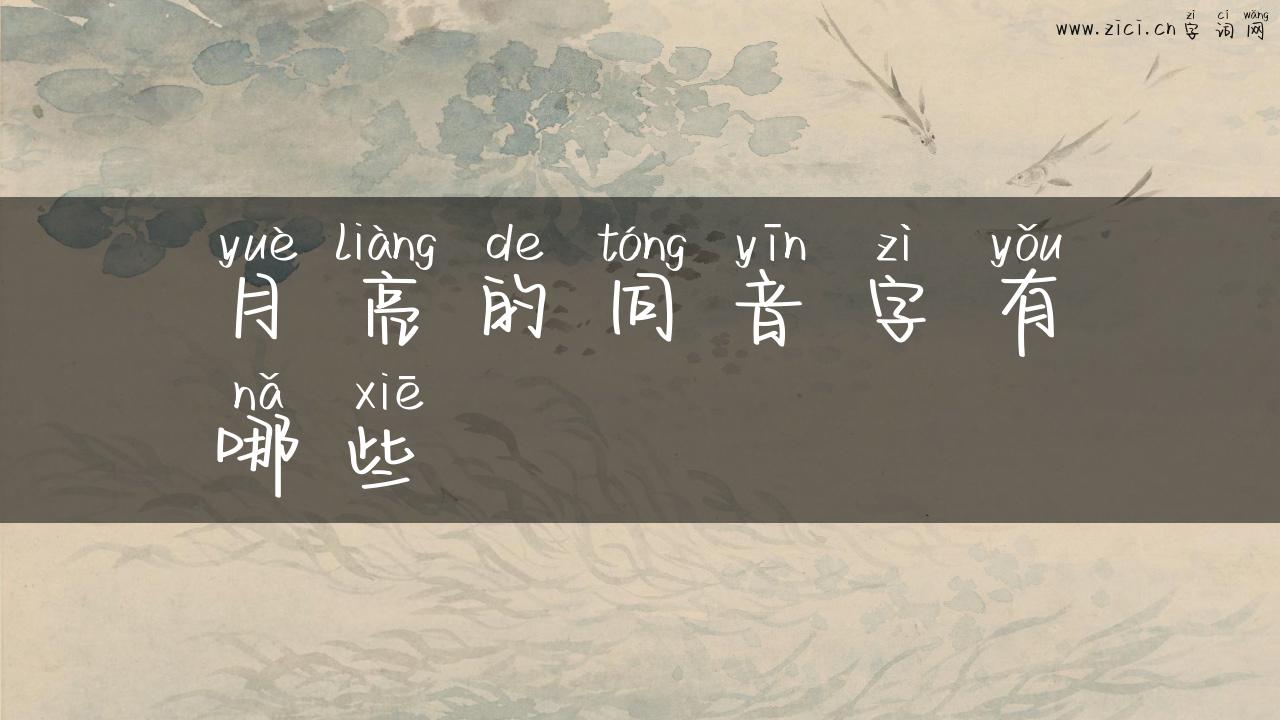 月亮的同音字有哪些