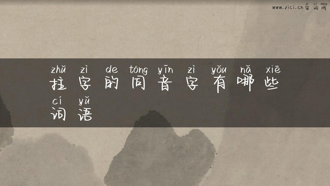 拄字的同音字有哪些词语
